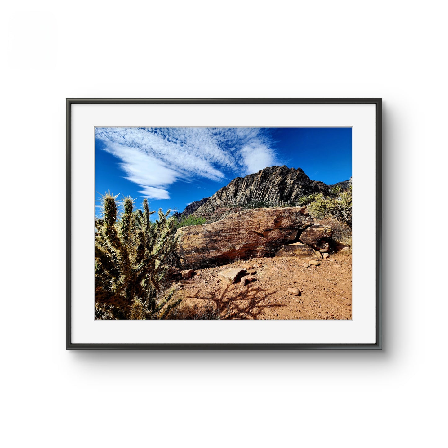 Framed photograph of a desert landscape with cacti and rocky formations.