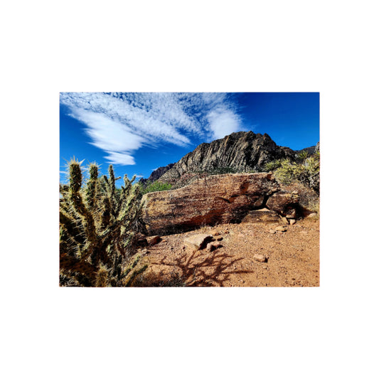 Desert landscape with cactus and rock formations under a blue sky.