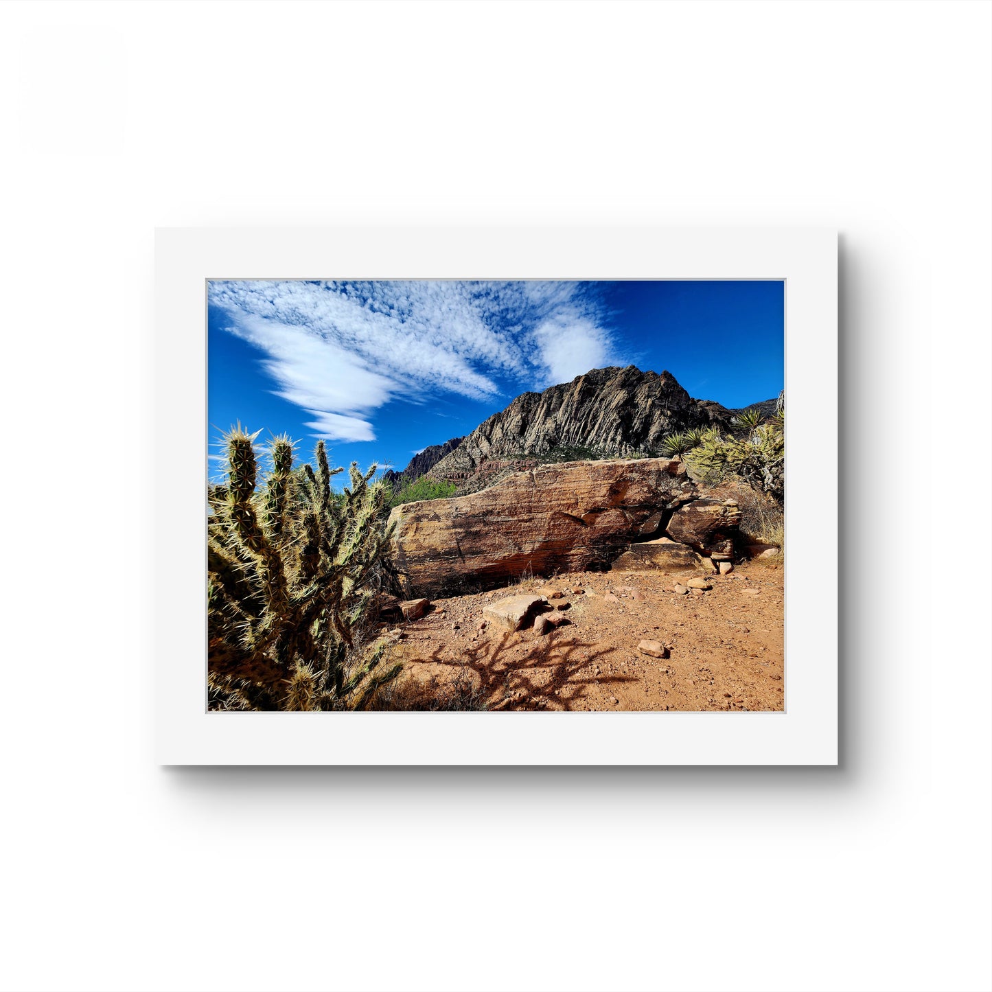 Matted photograph of a desert landscape with cactus and rock formations.